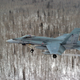Illustration for article titled The Right Fighter For Canada Is The Super Hornet, Not The F-35